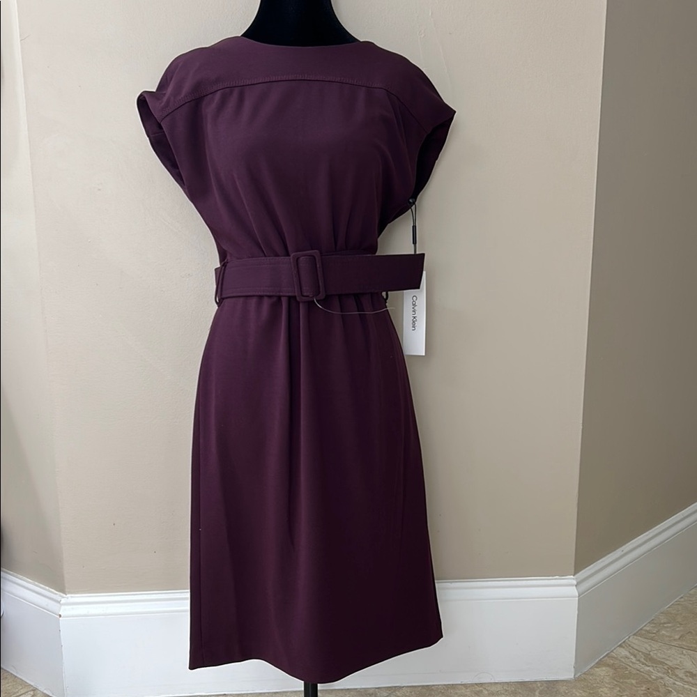 Calvin Klein Women's Purple Belted Dress